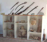 Fossilized specimens