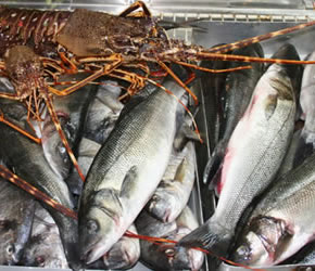 fresh-seafood.jpg